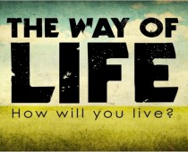 Moderation: An Islamic Way of Life