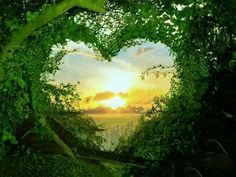 Heart in nature
