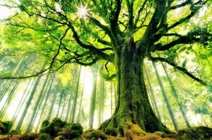 Ascending in the Levels of Worship- Eighteenth Stop of Your Spiritual Journey to God