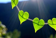 How to Treat Our Hearts and Develop Sound Belief
