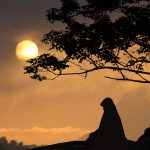 Merits of the Prophet’s Wife, Lady Khadijah