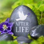 The Miracle of the Coccyx and Resurrection