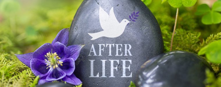 The Miracle of the Coccyx and Resurrection