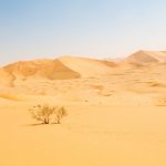 The Seven Under Allah’s Shade