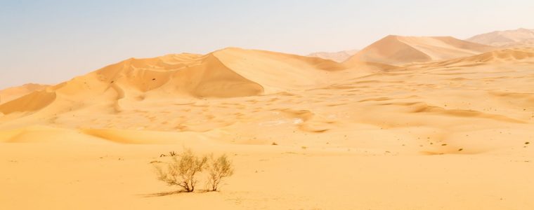 The Seven Under Allah’s Shade
