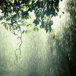 Salat Al-Istisqa’ (Prayer For Rain)