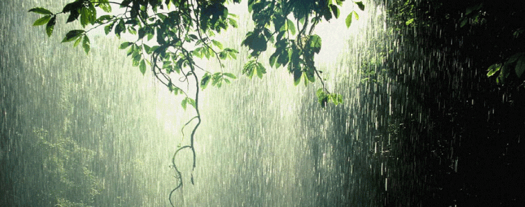 Salat Al-Istisqa’ (Prayer For Rain)