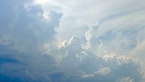 Discover the role of Angel Jibreel in Islam, his companionship with Prophet Muhammad (peace be upon him), key events like the first revelation, Isra’ wal-Mi’raj, the Battle of Badr, and his lasting impact on Islamic history