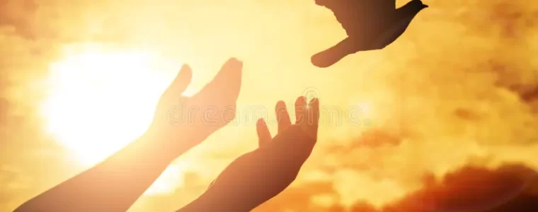 How to Balance Between Energy and Weariness?